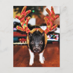Christmas Pig Briefkaart