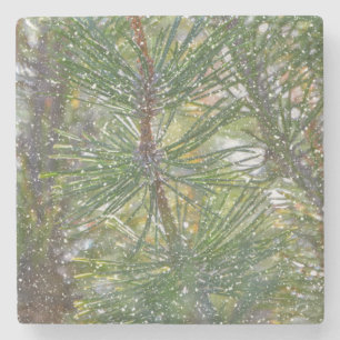 Christmas Pine Tree Snow Natuur Art Winter Onderze Stenen Onderzetter