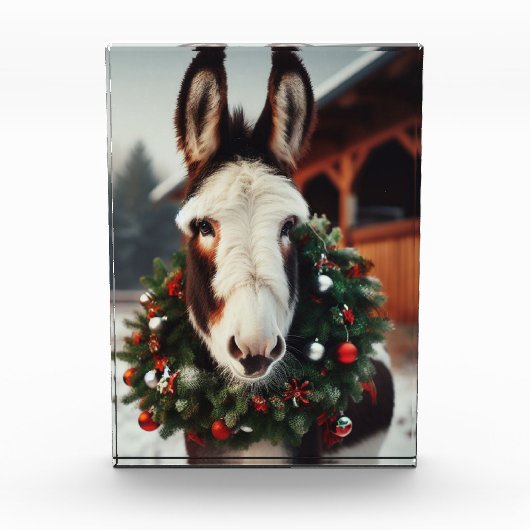 Christmas Pinto Donkey Fotoblokken (Voorkant)