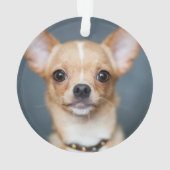 Christmas Plaid Chihuahua Hond Naam Foto Ornament (achterkant)