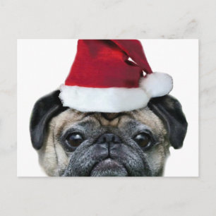 Christmas pug briefkaart
