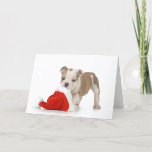 Christmas Puppy - English Bulldog Puppy Feestdagen Kaart
