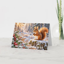 Christmas Red Squirrel Snowy Woodland
