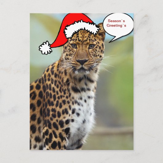 Christmas Santa leopard postcard 2 Feestdagenkaart (Voorkant)