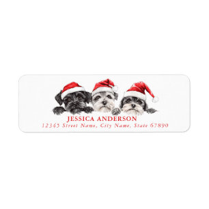 Christmas Schnauzer Chien Retour Adresse Étiquette
