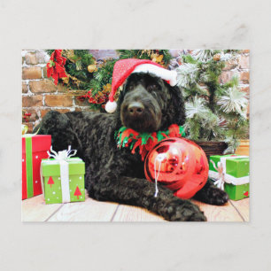 Christmas - Schnoodle - Zeus Feestdagenkaart