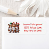 Christmas Shetland Sheepdogs Etiket (Insitu)