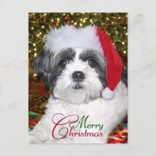 Christmas Shih Tzu Dog Feestdagenkaart