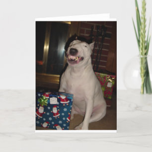 Christmas Smile Bull Terriër Feestdagen Kaart