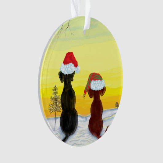 christmas springador (devant)