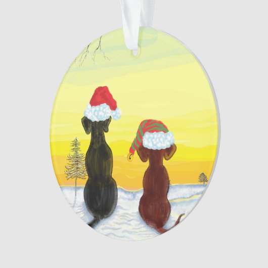 christmas springador (devant)