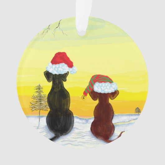 christmas springador (devant)