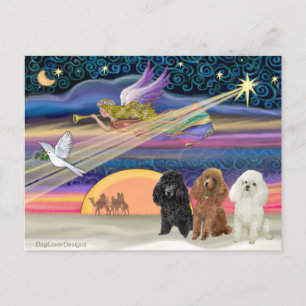 Christmas Star - Poodles (three Toy) - Feestdagenkaart