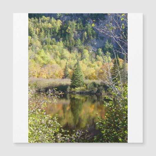 Christmas Tree holiday card, magnetic card (Voorkant)