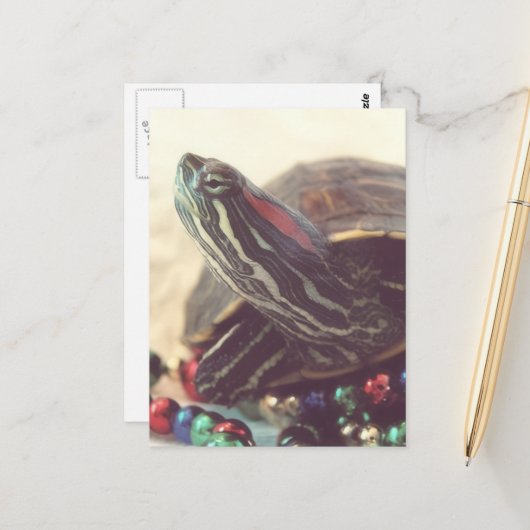 Christmas Turtle Briefkaart (Voorkant / Achterkant in situ)