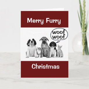 CHRISTMAS VOOR DOG/CAT-GROOMER/VETERINARIAN/MEER KAART