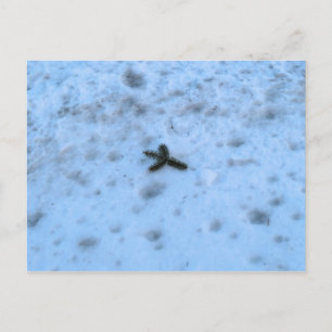 Christmastime in New England Feestdagenkaart