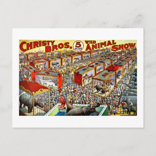 Christy's Wilde Dierlijk Show -  Briefkaart (Voorkant)
