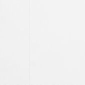 Chromatische Serenade: Vogel op tak Behang (Zoom)