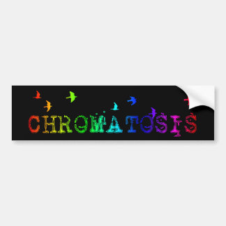 chromatose: regenboogvogels: bumpersticker
