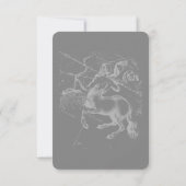 Chrome als Sagittarius Zodiac Sign Hevelius Decor (Achterkant)
