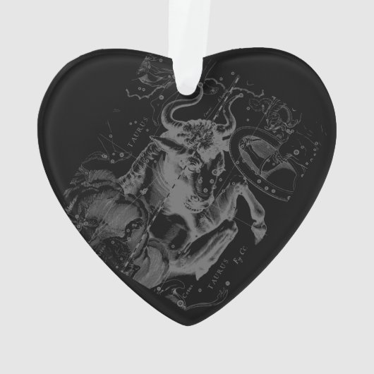 Chrome comme Taurus Connexion Hevelius (dos)