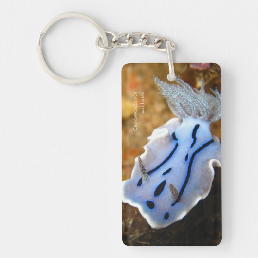 Chromodoris willani Rechthoek (dubbelzijdig) Sleutelhanger (Voorkant)