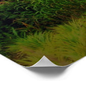 Chronicles 7:14 poster (Hoek)