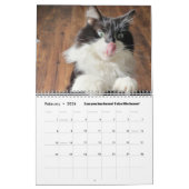 Chronicles of Todd 2024 Calendar Kalender (Feb 2026)