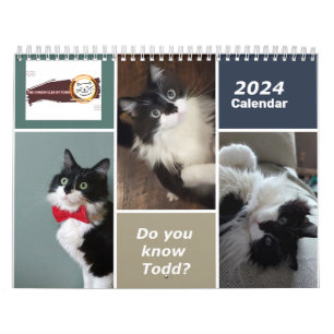 Chroniques du calendrier Todd 2024