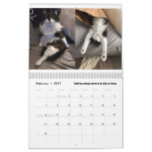 Chroniques du calendrier Todd 2025 (Feb 2027)