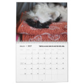 Chroniques du calendrier Todd 2025 (Mar 2027)