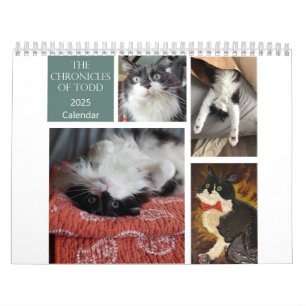 Chroniques du calendrier Todd 2025