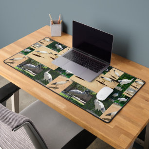 Chroniques Du Poulet De Bin : Collage Photo De L'I