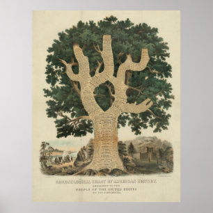 Chronologische Grafiek van de Amerikaanse geschied Poster