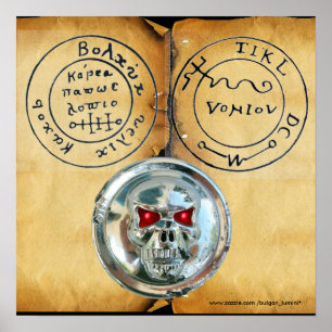 CHROOM SKULL EN ANTIEKE PIRATEN SCHATKAART POSTER