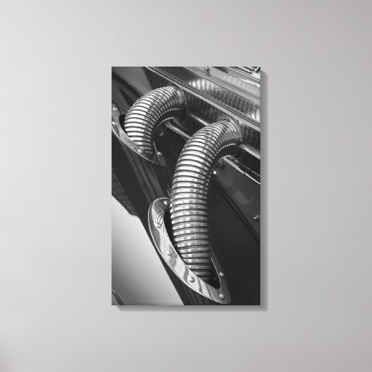 Chroomslangen Canvas Afdruk (Voorkant)