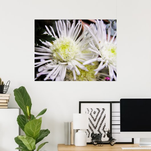 Chrybursta Poster (Thuiskantoor)