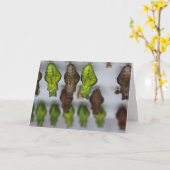 Chrysalis Verjaardag Kaart (Gele Bloem)