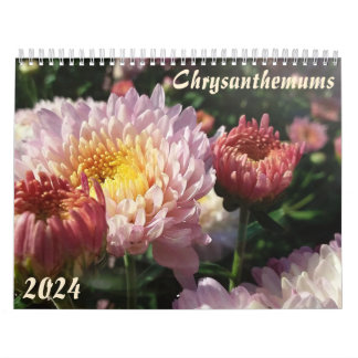 "chrysanten"Bloemenkalender Feng Shui Kalender