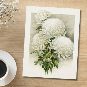 Chrysanten – Elegante botanische Briefkaart