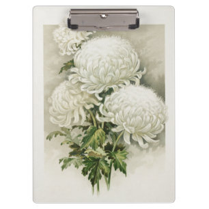 Chrysanten – Elegante botanische Klembord