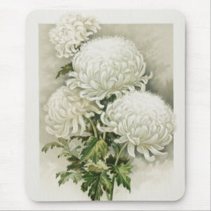 Chrysanten – Elegante botanische Muismat