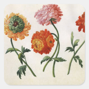 Chrysanten (m/v op papier) vierkante sticker