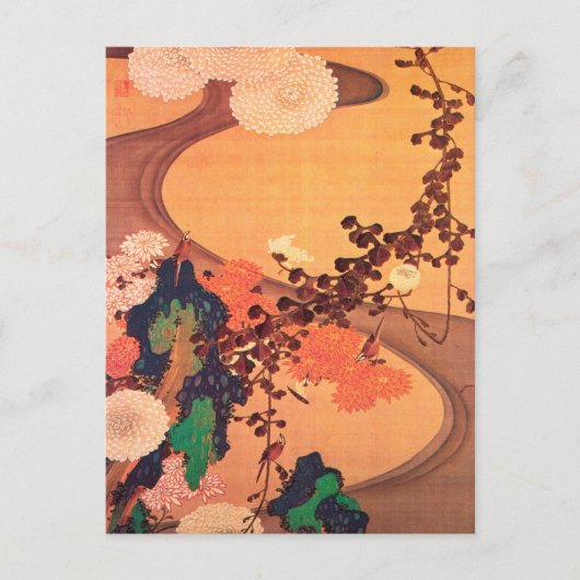 Chrysanthema met gesteente (1760) briefkaart (Voorkant)