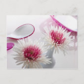 Chrysanthemae Briefkaart (Voorkant)