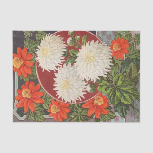 Chrysanthema's voor  zaadcatalogus tissuepapier (Voorkant)