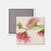 Chrysanthème - Aimant (Recto/Verso)