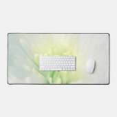 Chrysanthème blanc Belle maman blanche photo (Clavier et souris)