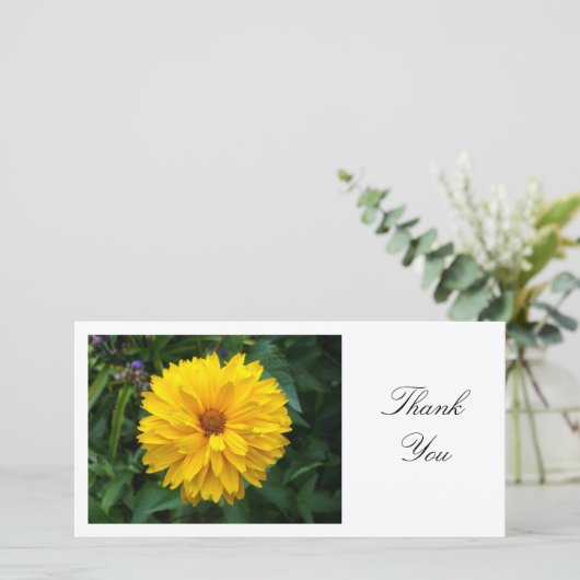 Chrysanthème jaune - Merci (Debout devant)